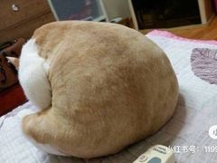 -老王头烤鸡(建大四小区店)