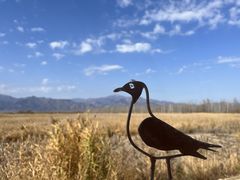 -野鸭湖国家湿地公园