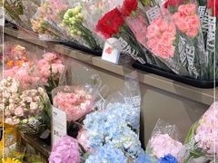 -鹿岛生活(熙地港店)