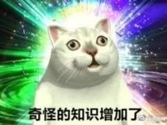 -哈根达斯(世界城店)