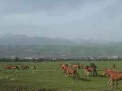 -新疆那拉提国家旅游度假区