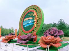 -南海子公园