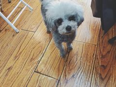 -志龙皇冠吃货椰子铺