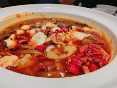 -茅庐毛血旺(烟台大悦城店)