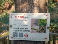 -广州神农草堂中医药博物馆