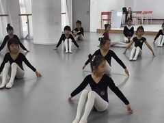 -西安小天鹅艺术团(金花路校区)