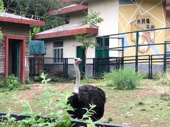 -无锡动物园·太湖欢乐园
