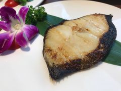 -九井澤精致料理(金茂店)