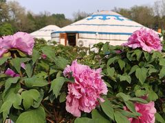 -圆明园遗址公园-藻园门售票处