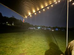 -春花秋色城市公园