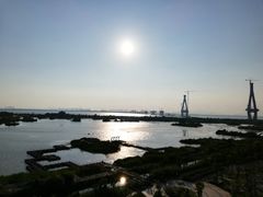 -芒洲湿地公园