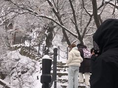 -少华山国家森林公园
