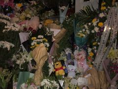 -上海市世外小学