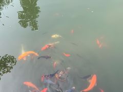 -南京东郊国宾馆