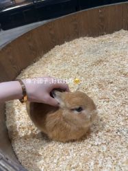 -Zoolung Zoolung动物主题公园(海信广场店)