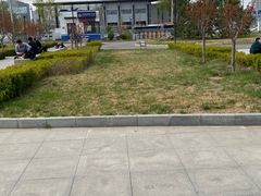 -首都医科大学附属北京天坛医院