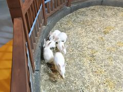 -秦皇岛新澳海底世界