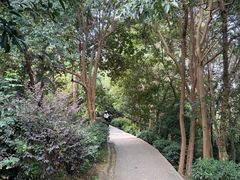 -巢湖姥山岛