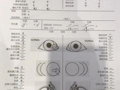 -关爱宠物医院·猫科中心·消化科(滨湖万达分院)