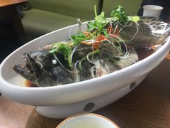 -必点海鲜·鲅鱼水饺(鞍山西道店)