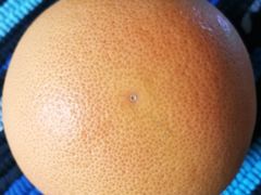 -人人乐(解放路二店)