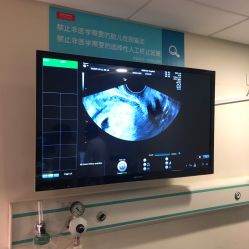 -杭州贝瑞斯美华妇儿医院·早孕·产检·儿科