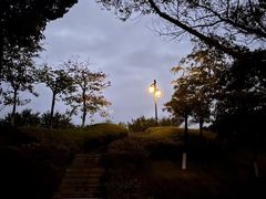 -神光山国家森林公园