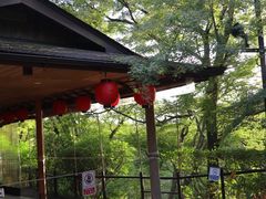 -有栖山 清光院 清水寺