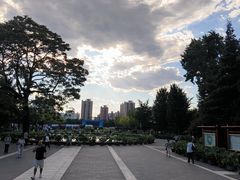 -莲花池公园