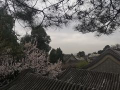 -颐和园