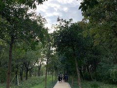 -昆山城市生态森林公园