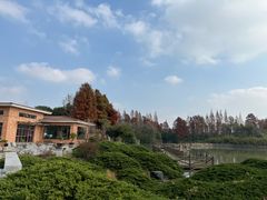 -上海海湾国家森林公园