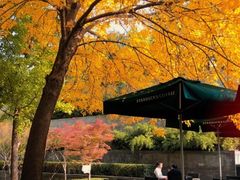 -星巴克(北京新辰里亚运村店)