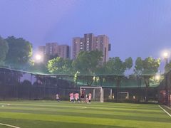 -小赛虎少儿足球培训(南翔校区)