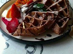华夫饼-吉丁鸟咖·异宠·寄养