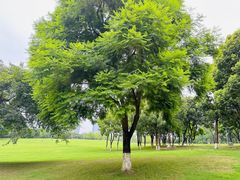 -重庆中央公园(渝北区)