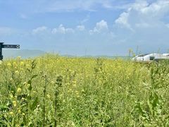 -新疆那拉提国家旅游度假区