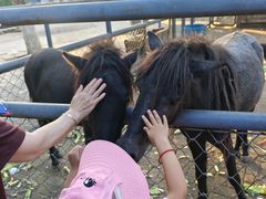 -长白岛森林公园