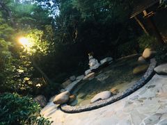 -天目湖涵田半山温泉