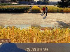 -北京古代建筑博物馆