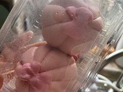 -小闺女儿肉龙(西湖道店)