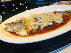 -三号黄浦会Canton Table