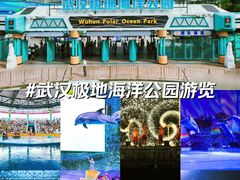 -海合安武汉极地海洋公园