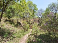 -玉渡山自然风景区