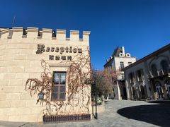 -北京张裕爱斐堡酒庄