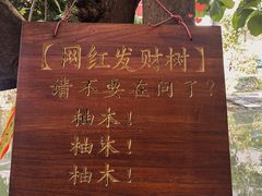 -贞姨芝麻糊