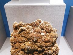 -贵州省地质博物馆