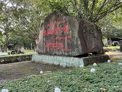 -海口火山口国家地质公园