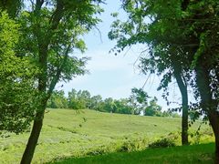 -南京市江宁方山