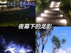 -永阳公园